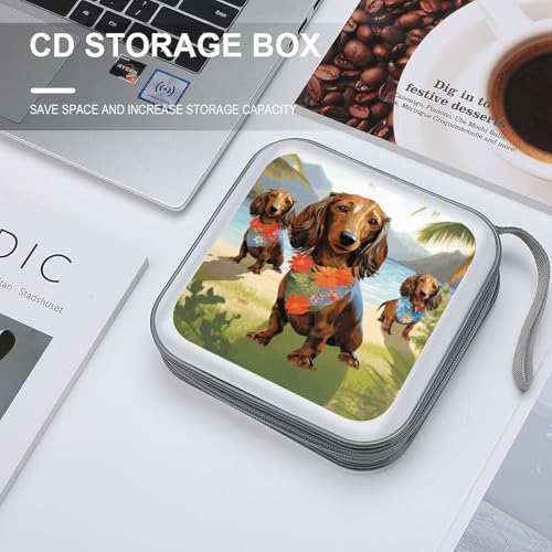 Rangement DVD compact teckel pour stopper le désordre des disques