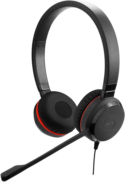 Jabra ヘッドセット Evolve 20 SE MS Stereo 有線 USB-C/A 両耳 マイク付 軽量 ノイズキャンセリング 会議用