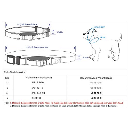 Blueberry Pet 4 Colors 3M Reflective Multi-Colored Stripe Martingale Safety Training Dog Collar, Olive And Blue-Gray, Large, Heavy Duty Adjustable Collars For Dogs #TOP4