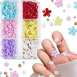 3D Flower Nail Charms Kit 6 Grids Flower Nail Art Kit 3D Resin Floral Nail Flakes Kit DIY Flowers Na