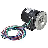 Hoshizaki PA0613 Pump Assembly