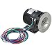 Hoshizaki PA0613 Pump Assembly