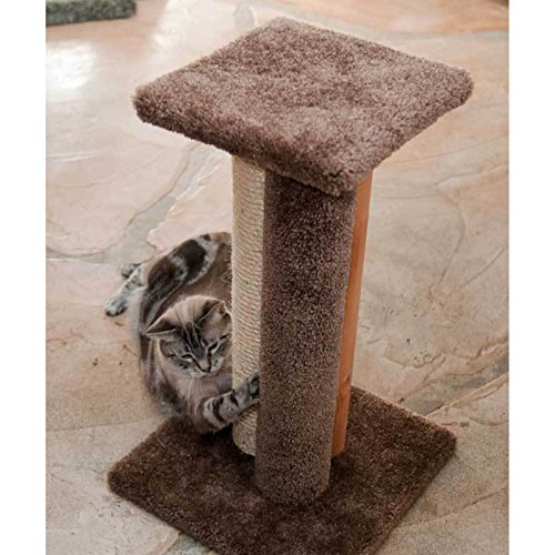 Rascador Triple Premier para Gatos New Cat Condos Verde miniatura 5