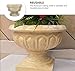Musaner Flower Pot Plastic Mold Concrete Clay Succulent Planter Mold Flower Planter Mold Flower Pot Making Mold DIY Vase Mold