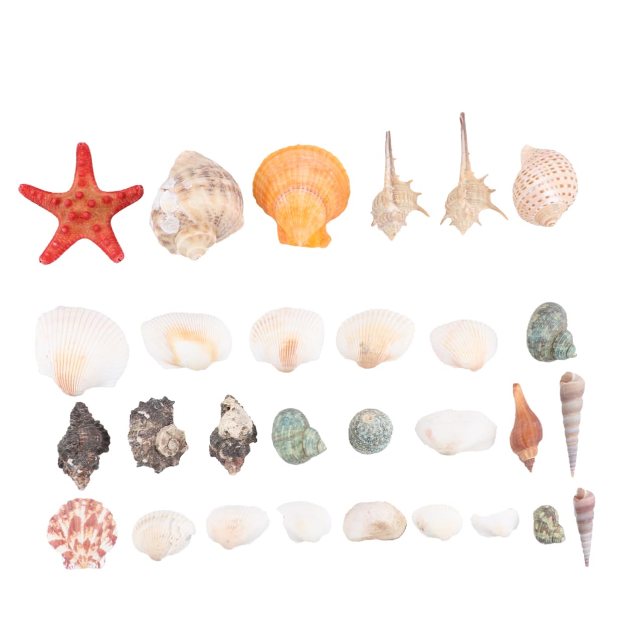 Levemolo Ocean-Inspired Sea Shell Bag Set: Shell Decor for Home Office Party (350g Dry Use Only)