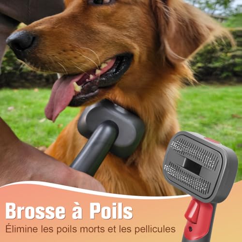 MOPEI Brosse Aspirateur pour Chiens 2 en 1 Compatible avec Dyson Gen5 V15 V12 V11 V8 V7, idéale pour éliminer les poils lâches, les squames, le sous-poil et les nœuds – vue 4