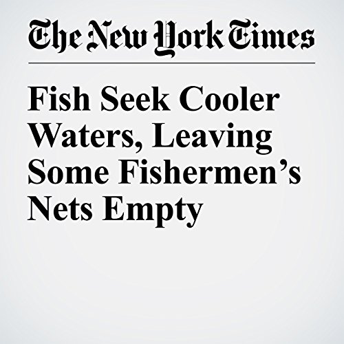 Fish Seek Cooler Waters, Leaving Some Fishermen&rsquo;s Nets Empty cover art