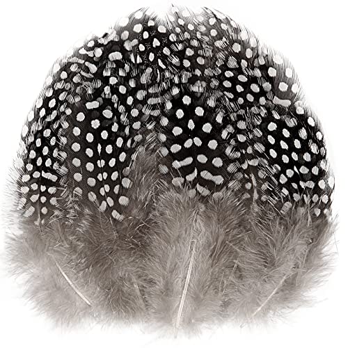 Tharaht Spotted Feathers 120Pcs 2-3Inch Small Natural Bulk Guinea Pheasant Feather For Crafts Hats Dream Catcher Decoration Feathers,Natural #TOP27