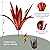 TOMBABY Enlarge Thickened Wind Resistant Metal Agave Garden Art Metal Plant Country Garden Sculpture Statue Outdoor Decoration Agave Metal Plant Courtyard Garden Lawn Ornament Gift (2, 12 Leaves red)