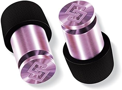 Soundox High Fidelity Ear plugs for Ear Protection, Concerts, Loud Events | W/KeyChain Case| Sensory Conditions |Comfortable Earplugs for Noise Reduction| Safe Ears | Includes(S,M,L) Sizes - Rose Pink'