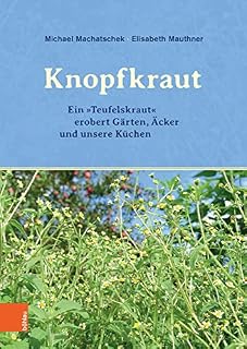 Das Knopfkraut: Ein "Teufelskraut" erobert Gärten, Äcker und unsere Küchen