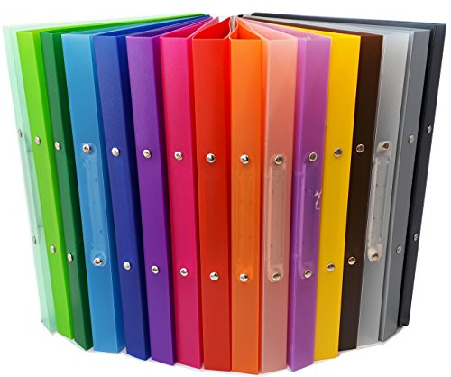 Brunnen 16 x Ringbuch Fact! A4 16mm 2 Ringe 1065516 farbig sortiert