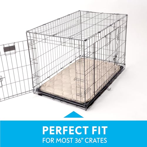 Paw Inspired Washable Padded Crate Mats for Dogs | 35” x 22” Size, Fits 36-inch Kennels | Leakproof,
