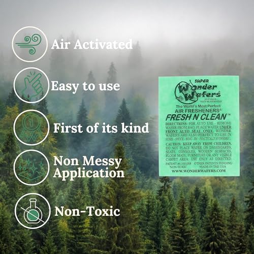 Image of Wonder Wafers 250 Count Unwrapped Automobile Professional Use Air Fresheners Car and Truck Detail (Fresh and Clean)