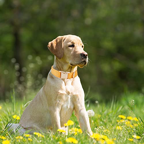 YUDOTE Ultraweiches Hundehalsband natürliche Baumwolle Cord für Mittel Hunde mit empfindlicher Haut,Orange