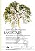 Landscape: Drawing & Colouring Practise Book (English, Spanish, French and German Edition)