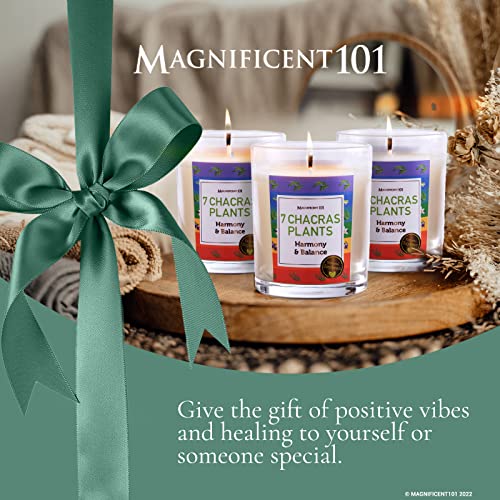 Magnificent 101 7 Chakras Plants Set Of 3 Candles #TOP5