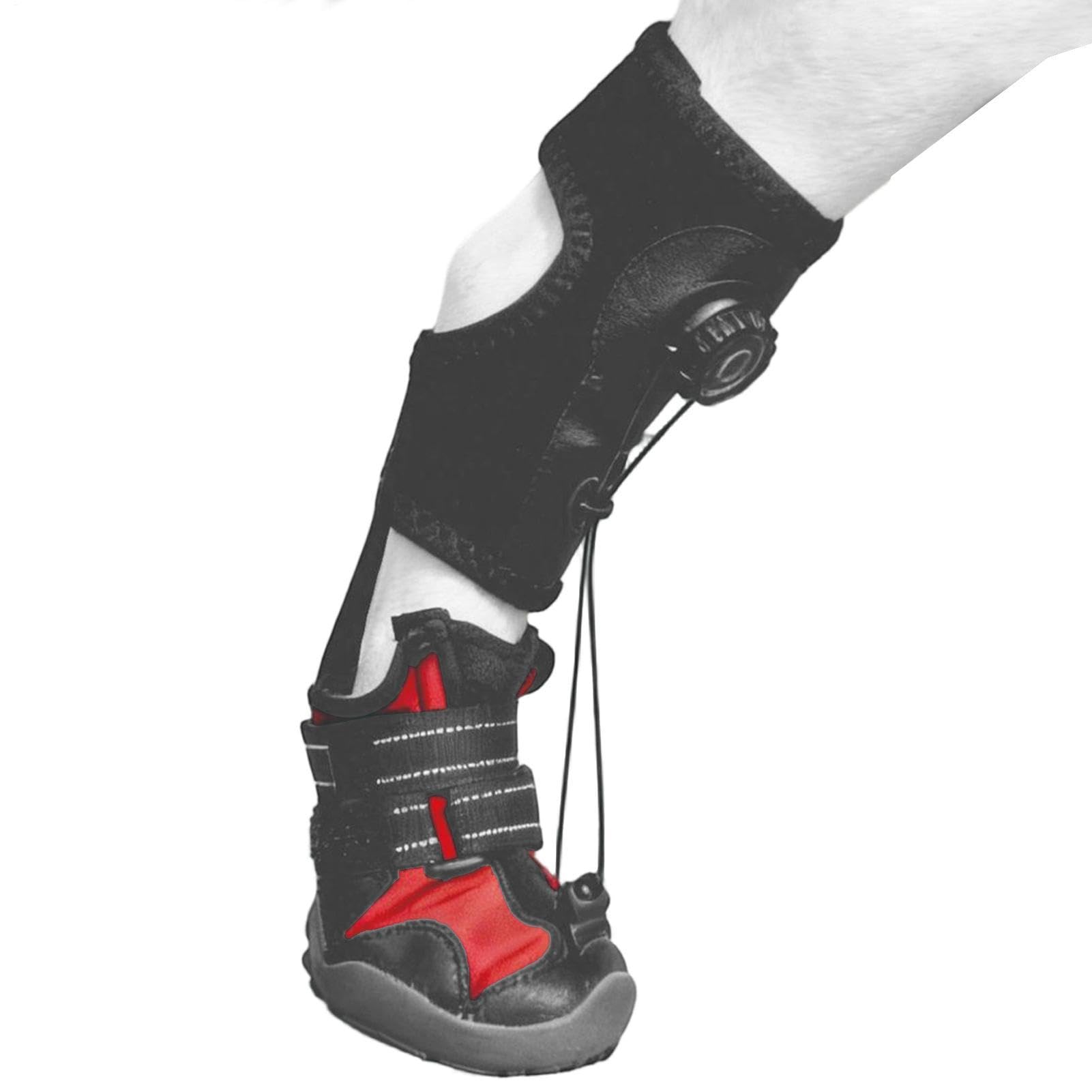Bottes pour chien : la solution anti-flexion pour protéger les pattes qui traînent au sol