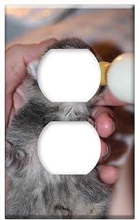 Switch Plate Outlet Cover - Cat Baby Hand Rearing Bottle Drink Kitten Cat