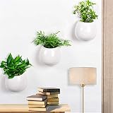 ❺ Lindas macetas suculentas: ideal para plantas suculentas, plantas colgantes, plantas de aire y como pequeñas macetas colgantes de cerámica para la pared