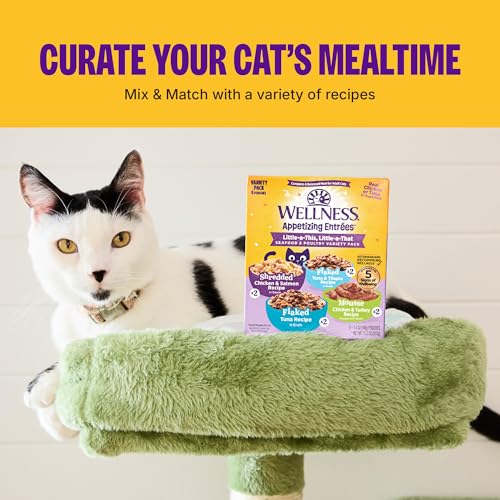 Image of Wellness Appetizing Entrees Variety Pack Kitten Wet Cat Food, Natural, Protein Rich, Grain Free, 1.4 oz, Pack of 8 Pouches