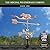 Little Mermaid Weathervane - Pure Copper by Good Directions