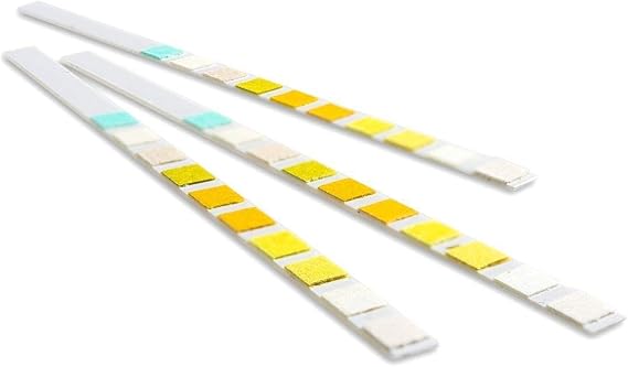 25 x Urine Test Strips 10 Parameter Urinalysis Testing Kit Multisticks Urine Strip Stick - pH, Glucose, Ketone, Liver, Kidney & UTI