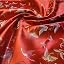 Red Butterfly
