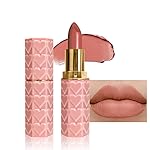 evpct 1Pcs Nude Beige Lipstick, Silky Velvet Matte Lipstick Pack Sets for Women, Long Lasting Smudge Proof Lipstick Lip Stain Makeup Kit matte lipstick 24 hours original N01