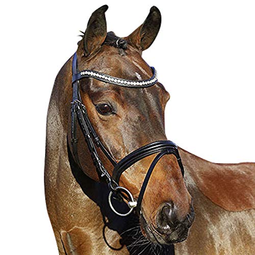 Bridon Euroriding La Rochelle marron foncé pour vos séances de dressage quotidiennes