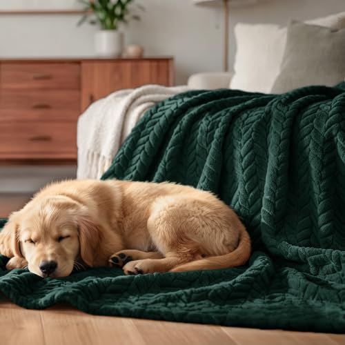Image of Exclusivo Mezcla Fleece Throw Blanket for Couch Sofa, 50 inchx70 inch, Forest Green | Oversized Soft Cozy Fluffy Blankets for Summer, Decorative Plush Flannel Throws for Living room, Bedroom with Leaves Pattern