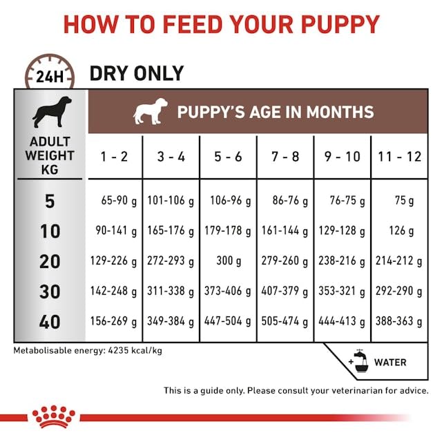 Royal Canin Veterinary Gastrointestinal Puppy | Doppelpack | 2 x 1 kg | Diät-Alleinfuttermittel für Hundewelpen | Zur Unterstützung des Verdauungstrakts und der Darmgesundheit