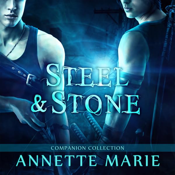 Cover art for Steel &amp; Stone Companion Collection