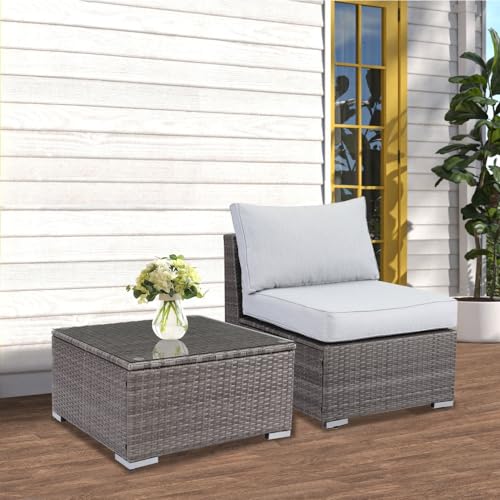 2 Piece Light Grey Sofa Small Armless Single Rattan Sofa Couch Set with Small Couch Table