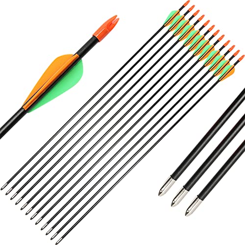 Pfeile für Bogenschießen Kinder,12er Set aus Fiberglas mit Spitze Metal Kinder Bogen 28 Zoll