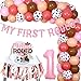 First Rodeo Birthday Party Decorations, Cowgirl 1st Birthday Party Decorations, Pink and Apricot Balloons Garland Western Cowgirl Rodeo Theme Birthday Banner Party Supplies for Girls Birthday