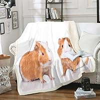 Loussiesd Fiets Rider fleece deken voor bedbank extreme sport sherpa deken moderne pluche deken microvezel koele kleurrijke warme donzige deken King 217 x 233 cm