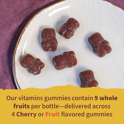 Image of Garden of Life Kids Gummies Bundle: Organics Kids Multivitamin - Fruit, 120 Count + Kids Immune Gummy - Cherry, 60ct + Dr. Formulated Kids Probiotic 5 Billion CFU & D3 - Strawberry, 60 Gummies