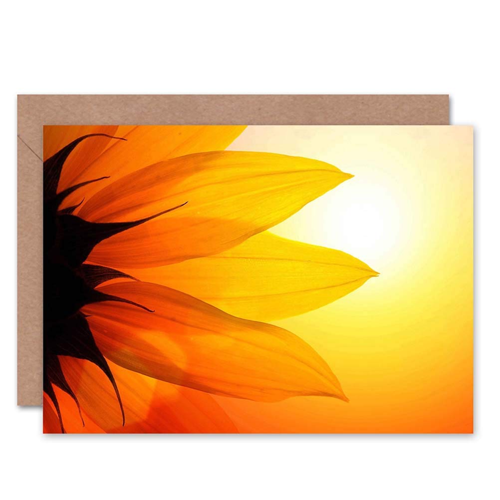 Wee Blue Coo DT BRIGHT SUNFLOWER PETALS BIRTHDAY GIFT BLANK GREETINGS CARD
