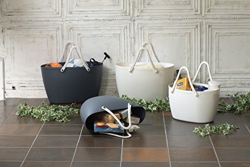 人気の コルトナバック がダイソーで770円 サーフィンバケツに使える 週末サーファーのための波乗り気象学