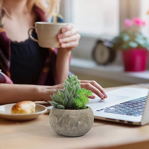 Vasemouh Plantas Artificiales Decorativas, 4pcs Pequeñas Plantas Artificiales Bonitas para la Decoración Hogar y del Escritorio. - imagen 5