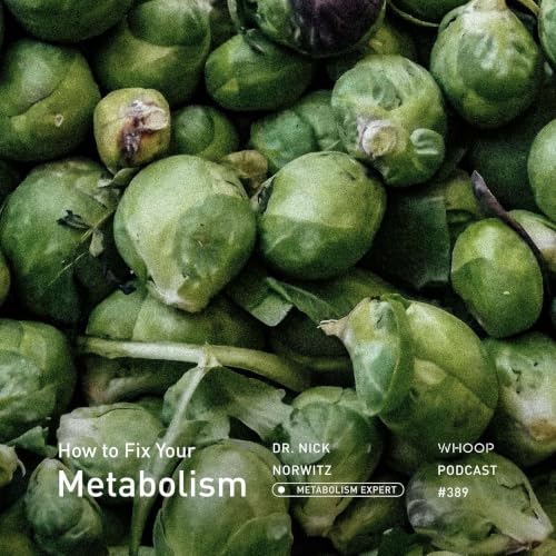 What You&rsquo;re Getting Wrong About Metabolism (And How to Fix It) with Dr. Nick Norwitz