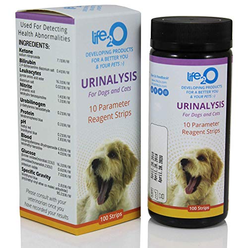 10-in-1 Dog & Cat Urine Test Strip 100ct | Vet-10 Veterinary Grade Pet