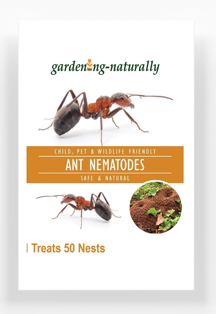Ant Nematodes Safe Natural Product to Get Rid of Ants Treats 50 Nests Gardening Naturally