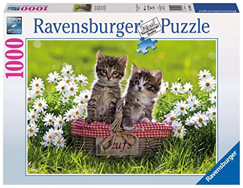 Ravensburger - Puzzle Adulte - Puzzle 1000 p - Pique-nique au pré - 19480