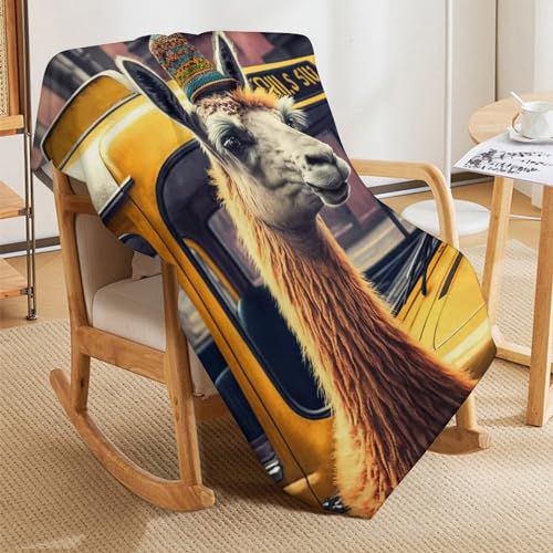 Couverture en peluche alpaga supérieure plaid moelleux de lit - 8