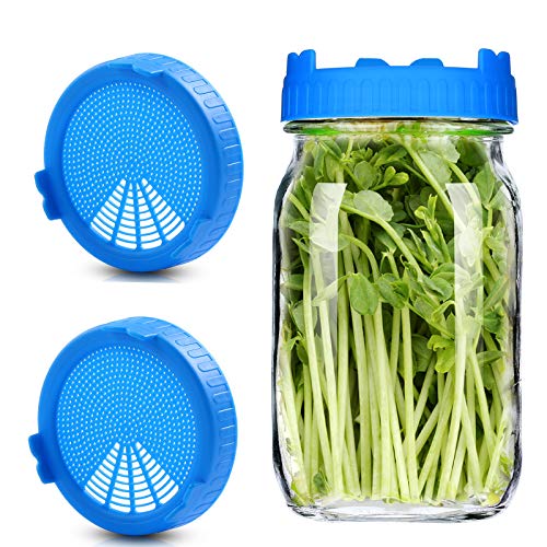 Seed Sprouting Jar Kit, 2 Wide Mouth Mason Sprouting Jar & 2 Easy Rinse & Drain Lids, Use for Growing Organic Healthy Fresh Broccoli, Alfalfa, Mung Bean Sprouts and Salad
