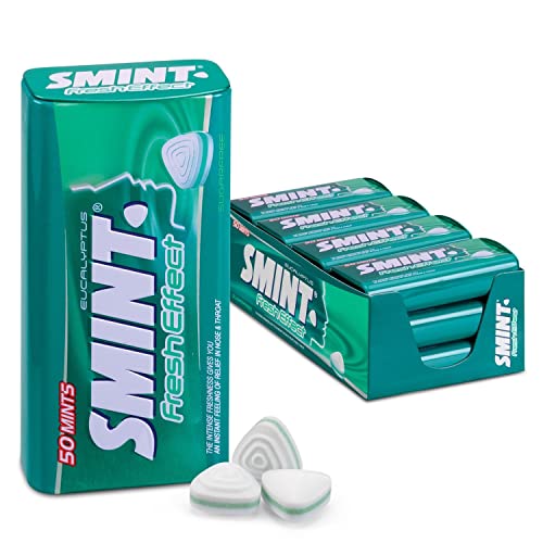 Smint Menthe Eucalyptus pastille haleine fraiche 420g