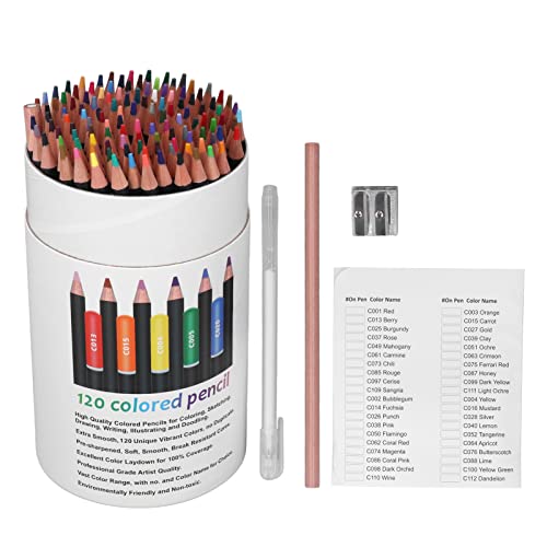Tnfeeon Conjunto de Lápices Coloreados de 120 Colores, Caja de Lápiz de Gran Capacidad, Fácil Transporte, Herramientas de Pintura de Acuarela, para Artistas Adultos y Niños de 12+, 3pk