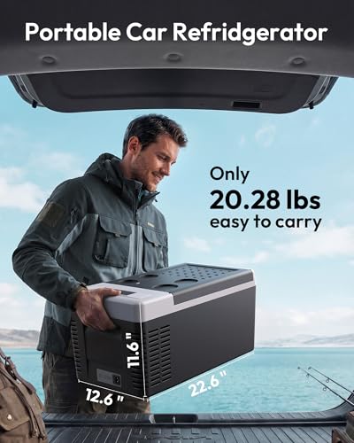 Portable Electric Cooler Warmer Combo